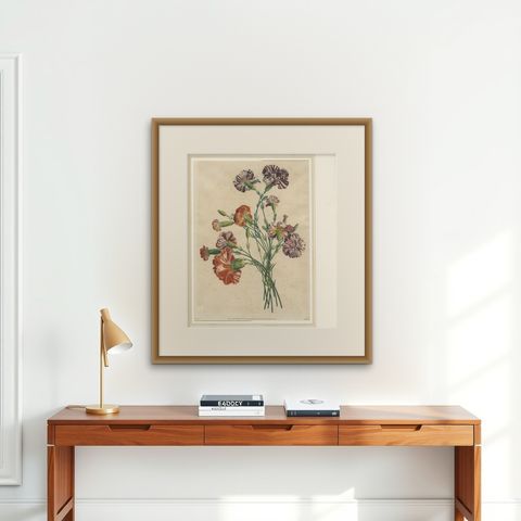 Antique Botanical Print of Carnations by Jean-Louis Prévost, 1805, shown framed on a wall, true to size