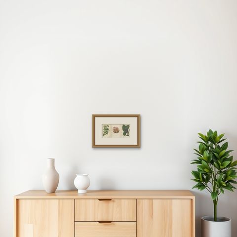 Verdant Splendor: Botanical Illustrations of Foliage from 1880, shown framed on a wall, true to size
