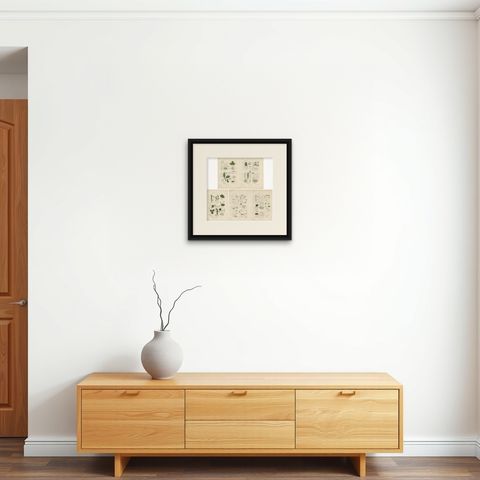 Set of 5 Antique Mycology Prints of Various Fungi, 1875, shown framed on a wall, true to size