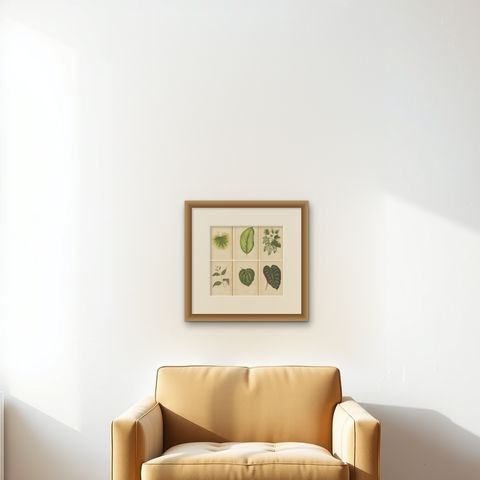 Set of 6 Botany Prints, Alocasia Metallica, Echites Nutans (1891), shown framed on a wall, true to size