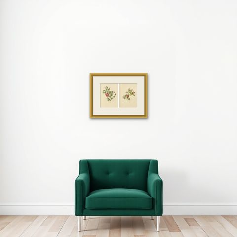 Decorative Pair of Antique Rose Prints, Chromolithographs 1914, shown framed on a wall, true to size