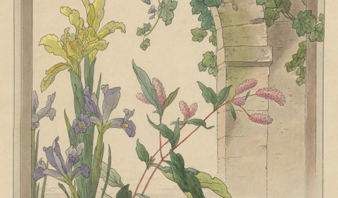 Graceful Water Blooms: Iris and Figwort in an Art Nouveau Setting, 1896, close-up 2