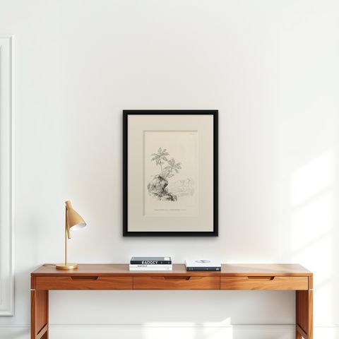Antique Botany Print of Palm Species by Blume 'c.1840', shown framed on a wall, true to size