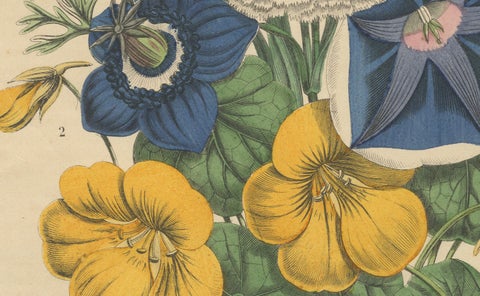 Victorian Floral Bouquet with Garden Blooms from Book of Worlds, 1863, close-up 2