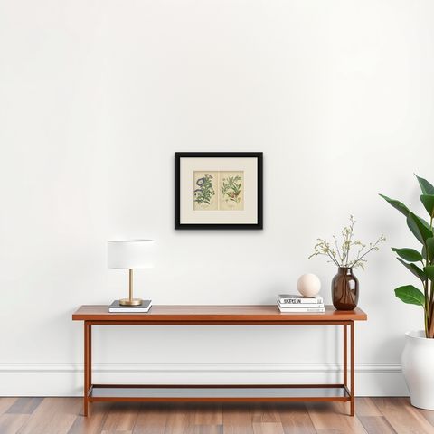 1897 Botanical Prints, Dwarf Morning Glory and Star Capsicum (Jerusalem Cherry), shown framed on a wall, true to size