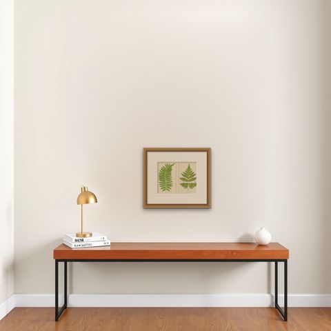 Antique Set of Botanical Fern Prints– Aspidium Articulatum & Aspidium Coadunatum, shown framed on a wall, true to size