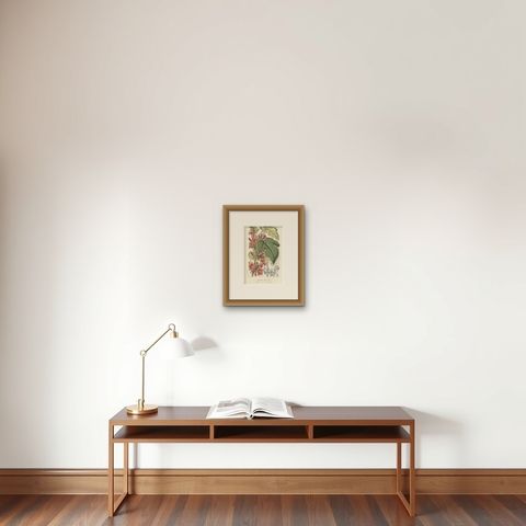 Botanical Illustration of Little Kurrajong: Brachychiton Bidwillii, c.1855, shown framed on a wall, true to size