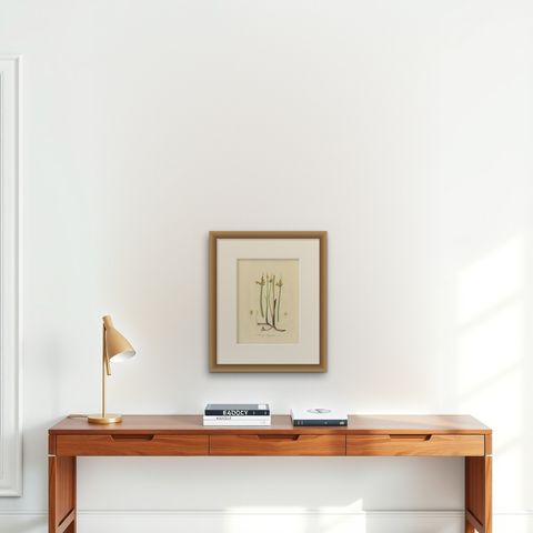Antique Botany Print of Schoenoplectus Triqueter by Sepp, 1830, shown framed on a wall, true to size