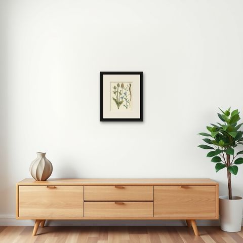 Hand-Colored Botanical Lithograph of Teasel and Chicory, Calwer, 1854, shown framed on a wall, true to size