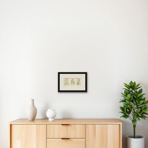 Hand-Colored Botanical Engravings of Willow-Herb Varieties, 1902, shown framed on a wall, true to size