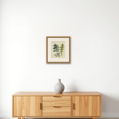 Acanthus Leaves, Classical Ornament Plant, Antique Bertuch Print, circa 1810, shown framed on a wall, true to size