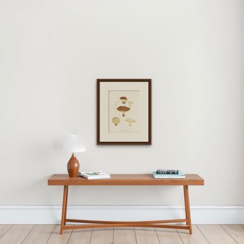 Antique Mycology Print of the Suillus Granulatus by Fries, c.1860, shown framed on a wall, true to size