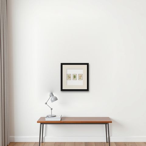 Orchids & Norfolk Pine, Set of 3 Antique Botanical Lithographs 1897, shown framed on a wall, true to size