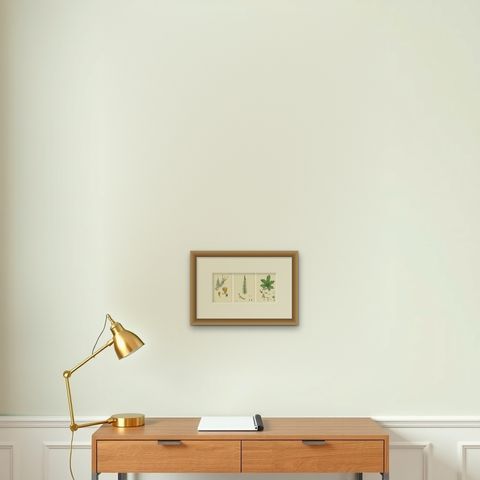 Botanical Engravings of Water-Milfoil, Mare’s-tail, and Red-Berried Bryony, 1902, shown framed on a wall, true to size