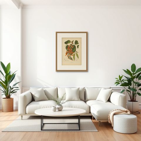 Original Antique Flame of the Forest Botanical Chromolithograph, ca.1880, shown framed in a room, true to size