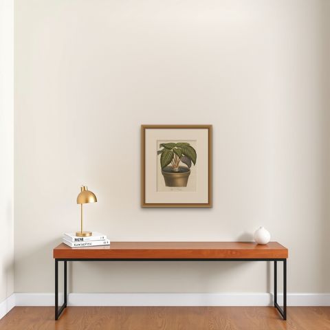 Regal Prayer Plant: Hand-Colored Lithograph by Louis van Houtte, 1855, shown framed on a wall, true to size