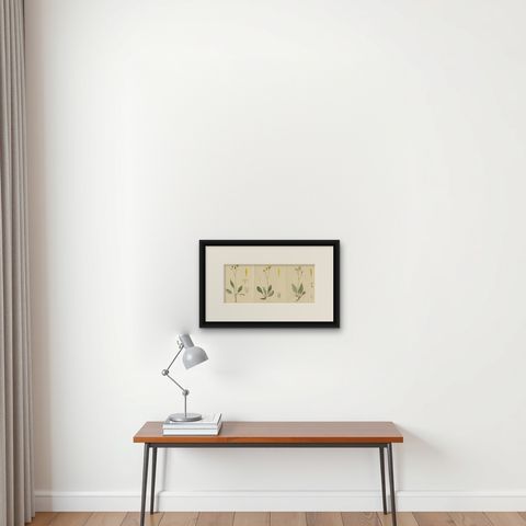 Set of 3 Antique Botany Prints H. Marshalli and Other Flowering Plants, shown framed on a wall, true to size