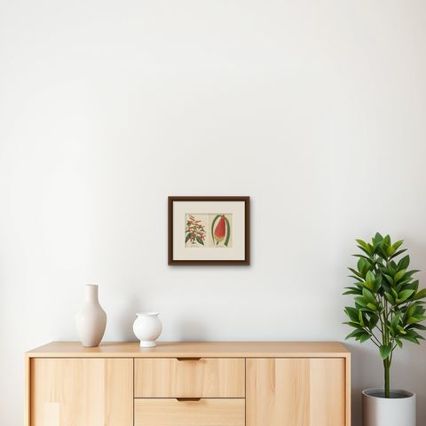 Vivid Visions: Roezl's Sage and Red Hot Poker in Botanical Art, circa 1875, shown framed on a wall, true to size