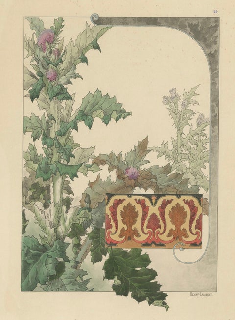 The Majestic Thistle: An Art Nouveau Study by Henry Lambert, 1896, close-up 4