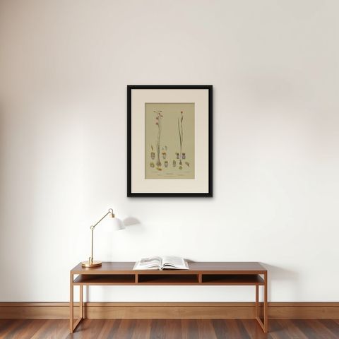 Antique Botany Print of the Salmon Sun Orchid & Fringed Sun Orchid, '1884', shown framed on a wall, true to size