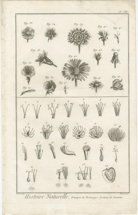 Pair of Antique Botanical Engravings, Tournefort & Linnæus Systems, ca. 1770, view 3