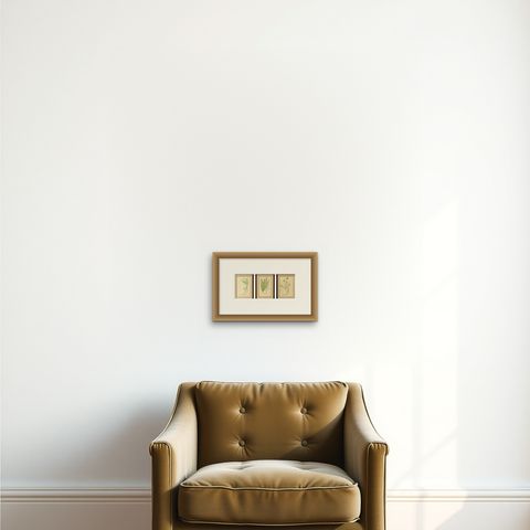 Antique Botanical Prints of Feather, Ribbon & Quaking Grasses, c.1897, shown framed on a wall, true to size