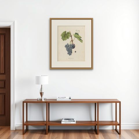 Rare Original Antique Lithograph of the Grenache Alicante Grape Variety, 1890, shown framed on a wall, true to size
