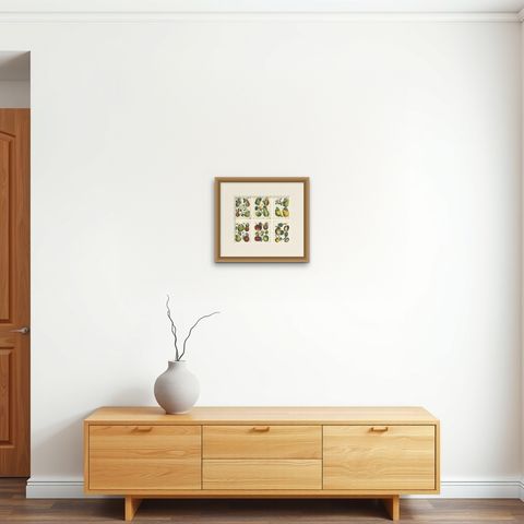 Antique Fruit Chromolithographs, Pears and Apples, Set of Six, Calwer 1854, shown framed on a wall, true to size