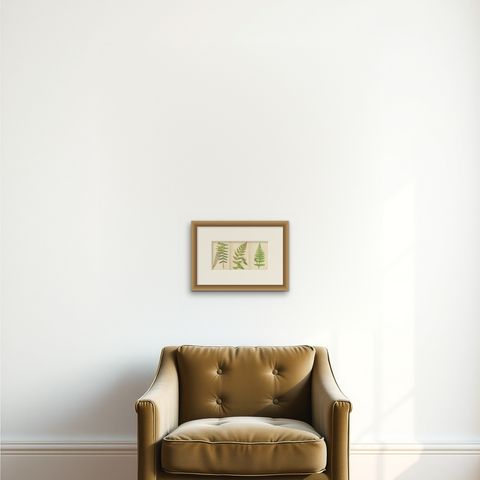 Antique Hand-Colored Fern Prints, Aspidium Acrostichoides, Cristatum, Rigidum, shown framed on a wall, true to size