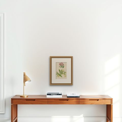 Alpine Botanical Print of Rock Soapwort and Nodding Bellflower, 1874, shown framed on a wall, true to size