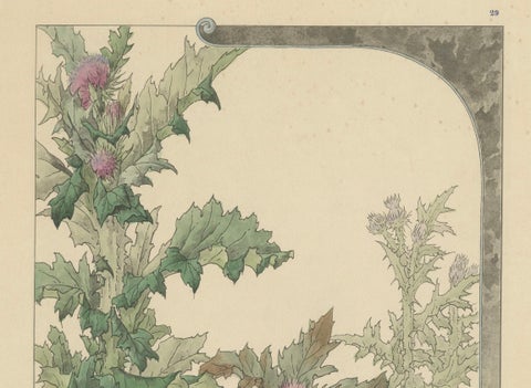 The Majestic Thistle: An Art Nouveau Study by Henry Lambert, 1896, close-up 3
