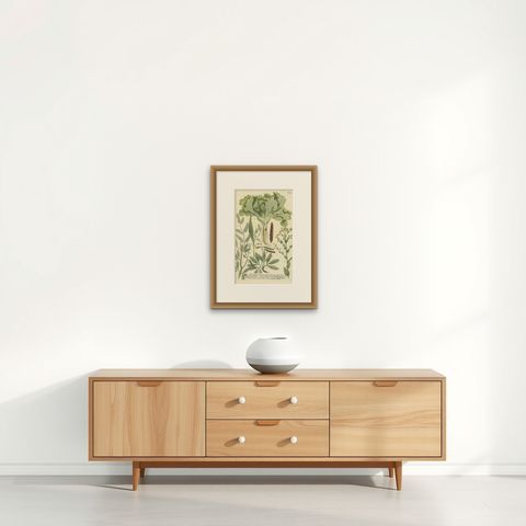 Botanical Splendor: Laburnum and Florae in 18th Century Etching, 1748, shown framed on a wall, true to size