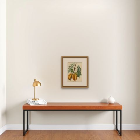 Original Antique Print of a Fruit named the Averrhoa Carambola, shown framed on a wall, true to size