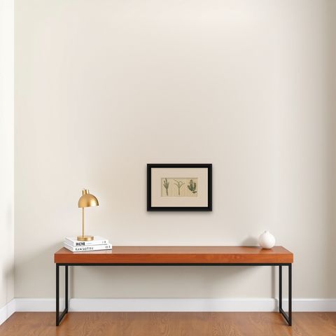 Set of 3 Antique Botany Prints, Struthiola, Speedwell, Phylica, shown framed on a wall, true to size