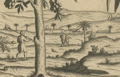 Tropical Abundance: The Jackfruit and Palm Trees in De Bry's 1601 Engraving, close-up 4
