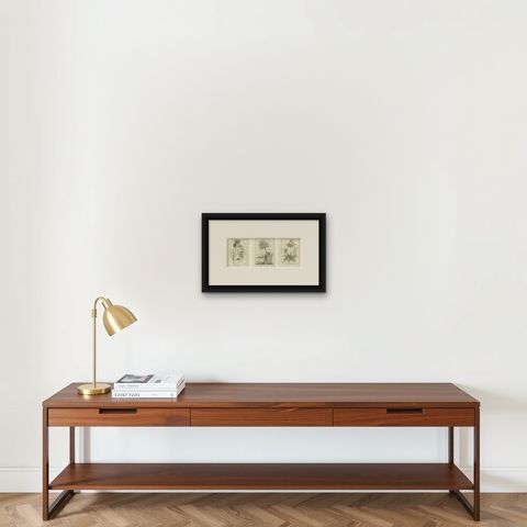 Egyptian Plants, Botanical Studies of Flora from Egypt, c.1776, shown framed on a wall, true to size