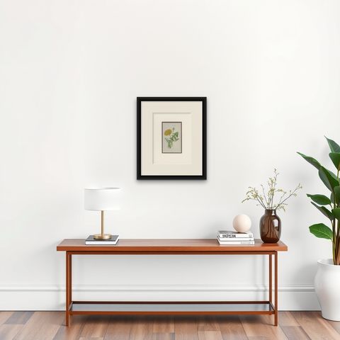 Antique Botany Print of a Dandelion by Hulme 'c.1895', shown framed on a wall, true to size