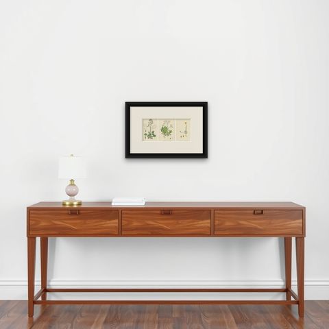 Botanical Engravings of London-Pride Varieties and Yellow Marsh Saxifrage, 1902, shown framed on a wall, true to size