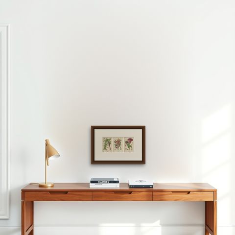 1897 Botanical Prints, Love-Lies-Bleeding, Variegated Amaranth, and Cockscomb, shown framed on a wall, true to size