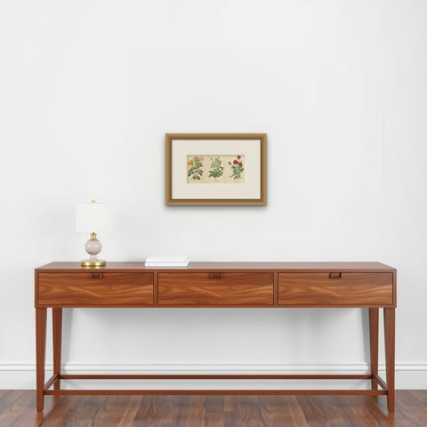 Antique Botanical Prints Collection: Roses and Greenhouse Favorites (1897), shown framed on a wall, true to size
