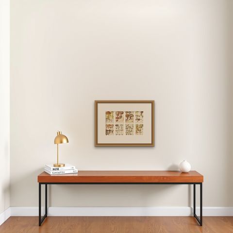 Set of 8 Antique Mycology Prints of Various Fungi by Barla, circa 1890, shown framed on a wall, true to size