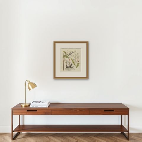 Cassia Cinnamon and Galangal Spices, Antique Bertuch Print, circa 1805, shown framed on a wall, true to size