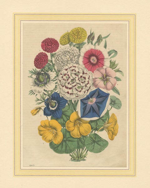 Victorian Floral Bouquet with Garden Blooms from Book of Worlds, 1863, close-up 6