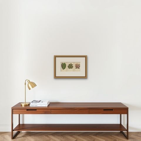 Vibrant Botanicals: A Study of Leaf Patterns and Colors, Published in 1880, shown framed on a wall, true to size