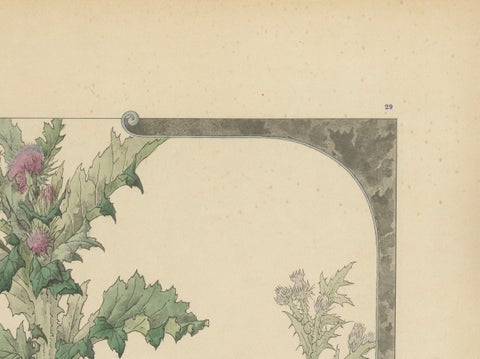 The Majestic Thistle: An Art Nouveau Study by Henry Lambert, 1896, close-up 1