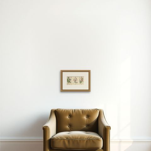 1897 Antique Botanical Prints, Cornflower, Immortelle, Canterbury Bells, shown framed on a wall, true to size