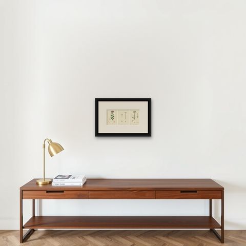 Hand-Colored Botanical Engravings of Narrow-Leaved Orpine and Stone-Crops, 1902, shown framed on a wall, true to size