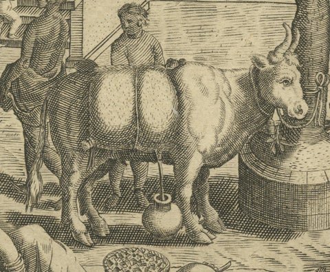 The Melancholy Tree of the East: A 1601 de Bry Engraving from 'Indiae Orientalis, close-up 3