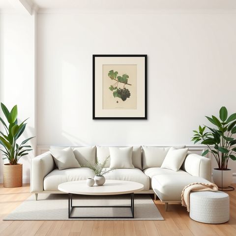 Rare Original Antique Lithograph of the Petit Bouschet Grape Variety, 1890, shown framed in a room, true to size