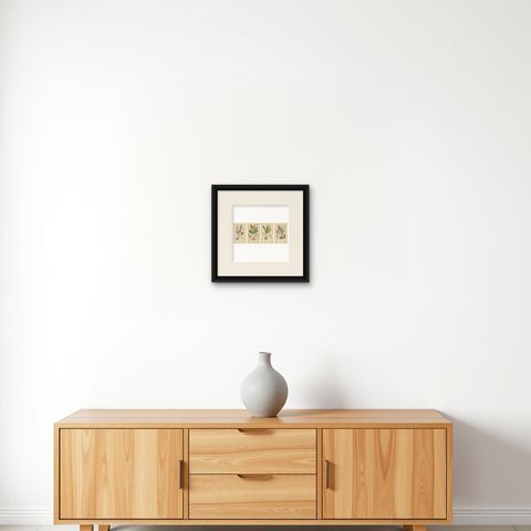 Nature's Masterpieces in Original Antique Print: The Orchids of 1904, shown framed on a wall, true to size